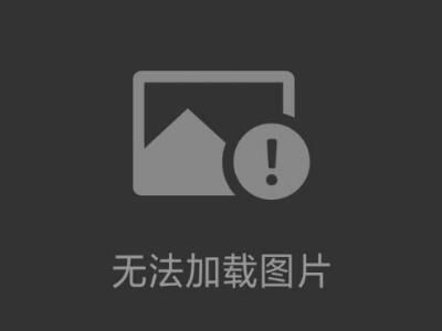 電鍋爐加熱管 YL-400V/30KW/2
