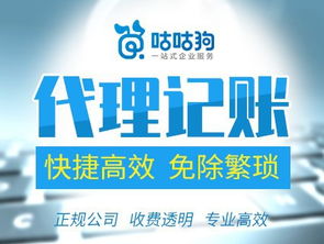 一般納稅人與小規(guī)模公司代理記賬服務全面解析——咕咕狗一站式代辦